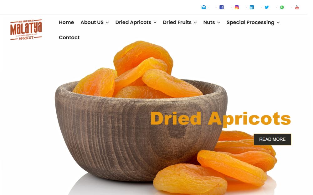 Malatya Apricot — Wholesale Dried Apricots